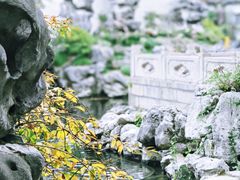 -豫园