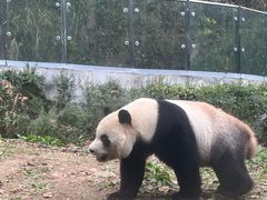 -黔灵山公园
