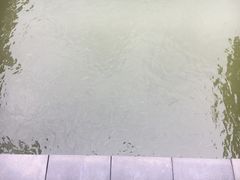 -西南政法大学(渝北校区)