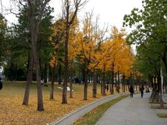 -美兰湖景区