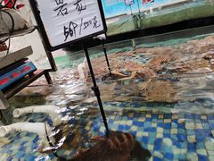 -森谷美食公园(杨行店)