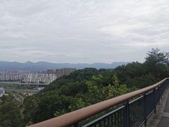 -金鸡山公园