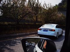 -王万妈卤猪脚(青岩交通路)
