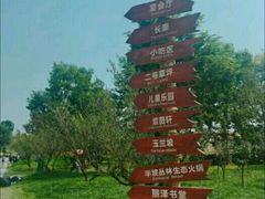 -秀丽东方