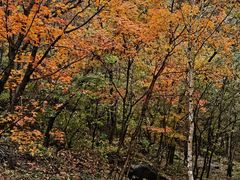 -玉渡山自然风景区