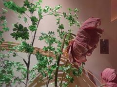 -觅唐MITONG(鸟巢店)