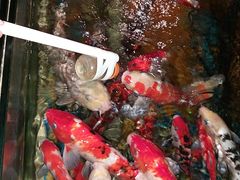 -太平洋海底世界