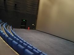 -唐阁影城(怀柔星东天地店)