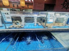 -张家卫·阳江菜·小海鲜(肥婆湾桥店)