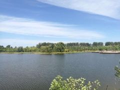 -东郊湿地公园