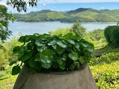 -天目湖涵田半山温泉