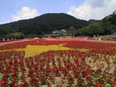 -广州市石门国家森林公园