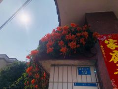 -小洲村