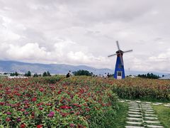 -大理洱海