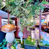 菌彩又在北市区开新店啦 这次这个新店的环境真的太好啦