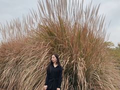 -盘龙城国家考古遗址公园