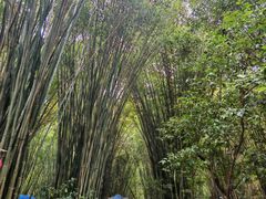 -英西峰林·洞天仙境