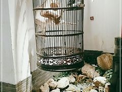 -清真·京华源铜锅涮肉(丰庆店)