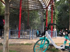 -长白岛森林公园