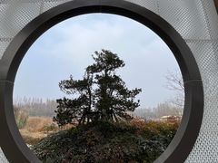 -东平国家森林公园