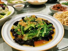 -一轩饺子馆(丽都店)