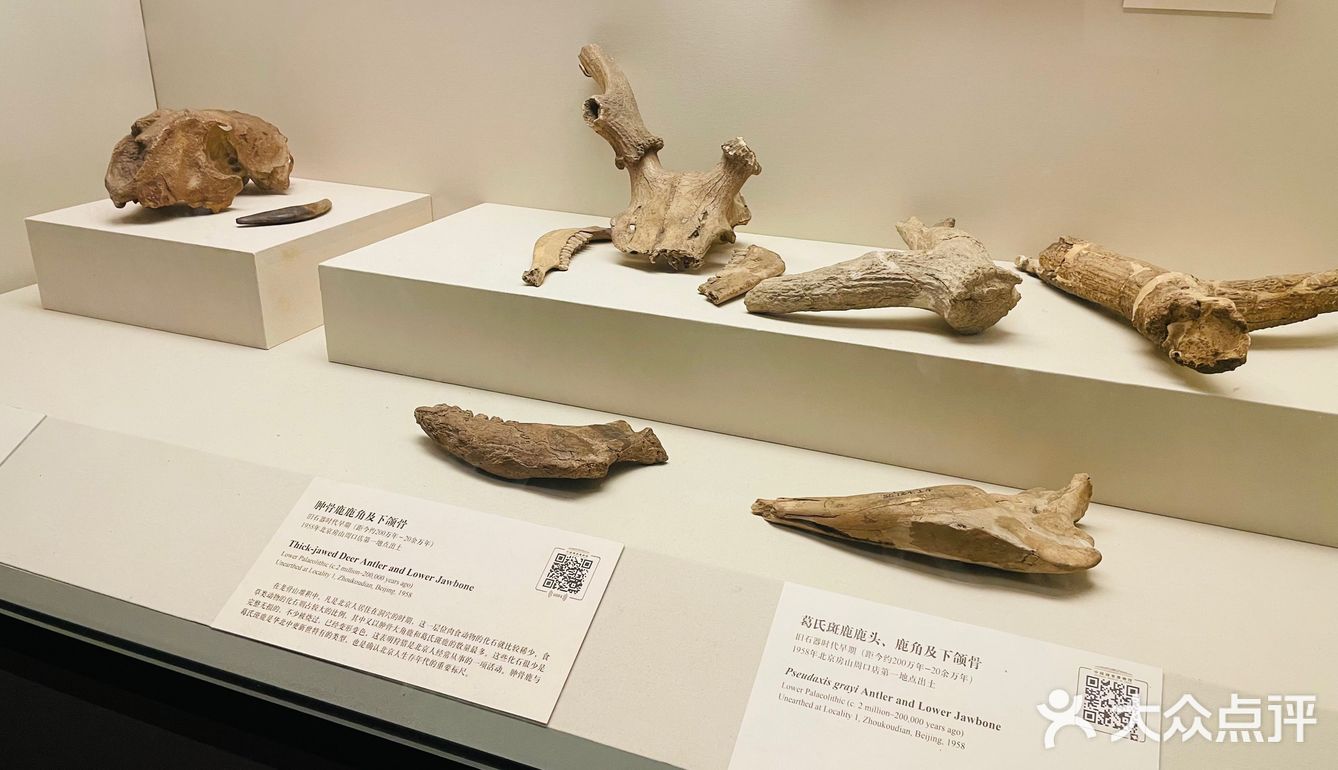 博大精深——国家博物馆
