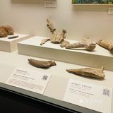 博大精深——国家博物馆