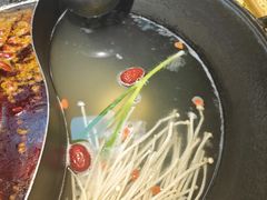 -阳阳老火锅(小南门店)