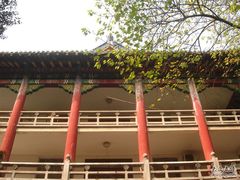 -中山大学学者灵芝(园南路店)