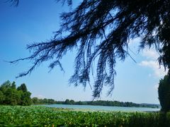 -东湖落雁景区