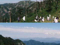 -朱雀国家森林公园
