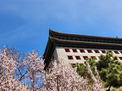 -北京明城墙遗址公园