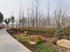 -上海长兴岛郊野公园