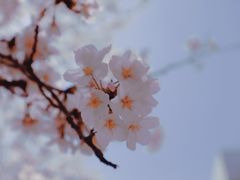 -永乐路-路侧停车场