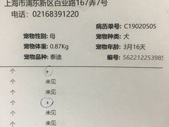 -爱妮康宠物医院·干细胞免疫细胞·肿瘤·心脏(张江店)