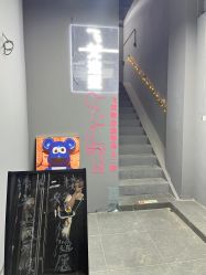 -飞梵造型
