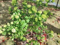 -上海交通大学(闵行校区)