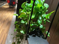 -三谷里·生态水疗空间(五一店)
