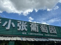 -马陆小张葡萄园农家乐