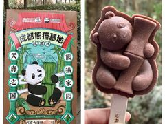 -成都大熊猫繁育研究基地