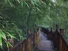 -陶祖圣境风景区