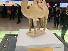 -陕西自然博物馆