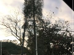 -广州市帽峰山景区