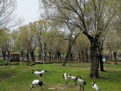 -平房公园