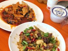 -柴窝堡22号辣子鸡·传承新疆菜