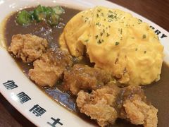 -伽喱博士 Dr.CURRY咖喱饭(太阳宫咖喱店)