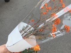 -循礼门鲜花花市(武汉循礼门店)