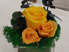 -Cova Ristorante & Caffe(海港城店)
