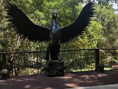 -清迈丛林飞跃 JungleFlight