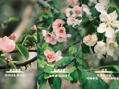 -海棠花溪(元大都城垣遗址公园)